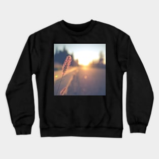 Retro Sunset Street Scene Crewneck Sweatshirt